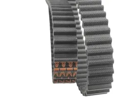 pasek-zebaty-castel-garden-tc102-tcp102-tcr102-tcb-160x2cm