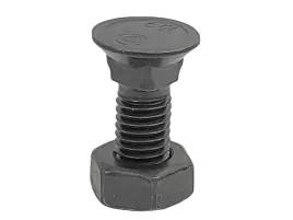 sruba-pluzna-z-nakretka-m10x25