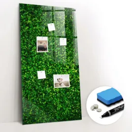 pisaki-tablica-magnetyczna-do-domu-gratisy-plot-liscie-roslin-60x120-cm