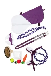 hobby-horse-akcesoria-zestaw-akcesoriow-hobby-horse-fioletowy-dla-konika-a4