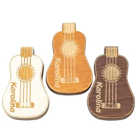 pojemnik-na-kostke-gitarowa