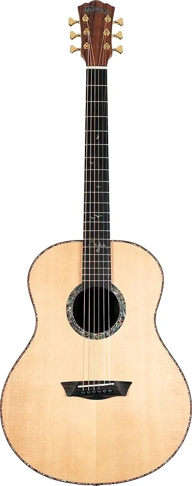 washburn-bts-24-s-b-gitara-akustyczna-stan-nowy