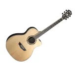 washburn-ag-70-ce-n-gitara-elektroakustyczna