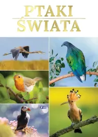 ptaki-swiata