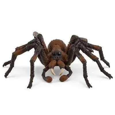 aragog-slh13987
