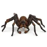 aragog-slh13987