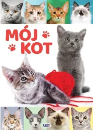 moj-kot
