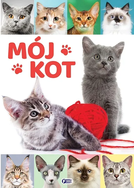moj-kot-stan-nowy