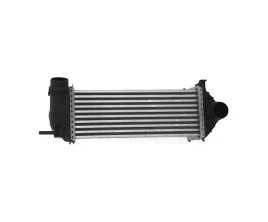 intercoolery-do-mercedes-benz-citan-w415-2012-2021-4150900114