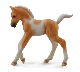 zrebie-idace-pinto-palomino