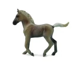 zrebie-rasy-rocky-mountain-004-88799