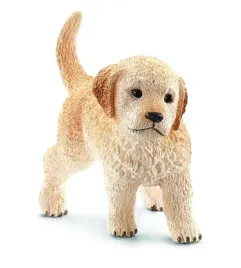 szczenie-golden-retriever-slh16396