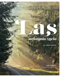 las-swiatynia-zycia-wyd-2024
