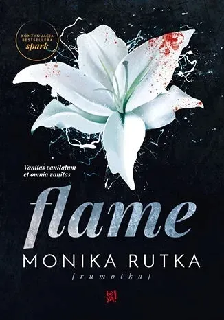 flame-stan-nowy
