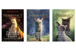 pakiet-tygrysia-gwiazda-i-sasza-wojownicy-manga