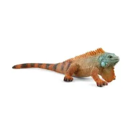 iguana-slh14854