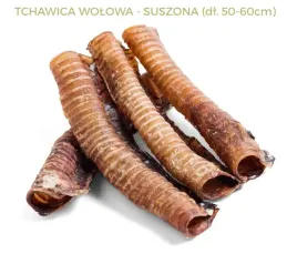 tchawica-wolowa-xxl-50-60-cm-abakus