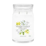 yankee-candle-midnight-jasmine-567g