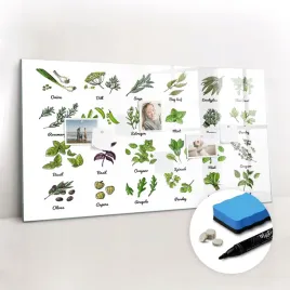 do-biura-marker-tablica-magnetyczna-bezramowa-gratisy-rodzaje-drzew-120x60