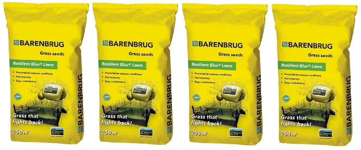 Trawa nasiona Barenbrug Resilient Blue 20kg uniwersalna sportowa + poradnik