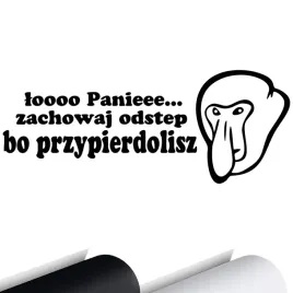 naklejka-grafika-na-auto-loo-panie-zachowaj-odstep-janusz-nosacz-15x6