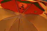 parasol-parasolka-dziecieca-plec-produkt-damski