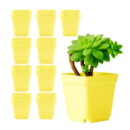 doniczka-plastikowa-mini-7x7cm-zolta-do-rozsady-10sztuk
