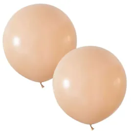 balony-beauty-and-charm-pastelowe-cielisty-godan-24-2-szt