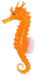 zolty-konik-morski-meduza-akwarium-koralowiec