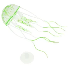 zielona-swiecaca-meduza-co2-akwarium-koralowiec