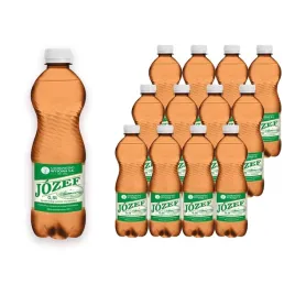 lecznicza-woda-mineralna-jozef-500-ml-x-12-sztuk