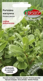 nasiona-portulaka-warzywna-1-g-torseed-do-ogrodu-i-na-balkon