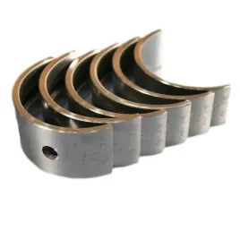 panewki-glowne-t25-100-kpl