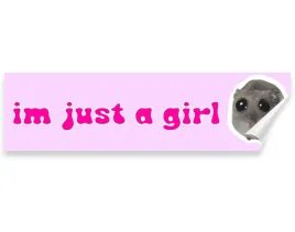 naklejka-na-auto-im-just-a-girl-jestem-tylko-dziewczyna-meme-chomik-22x6