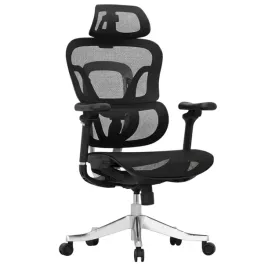 fotel-biurowy-ergonomiczny-300kg-siatka-4d-flexispot-ergox-czarny