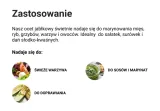 monini-ocet-jablkowy-250ml-marka-monini