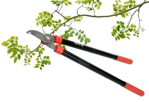 sekator-do-konarow-625-mm-yato