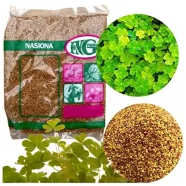 mikrokoniczyna-koniczyna-drobnolistna-biala-nasiona-500-g-zageszczajaca