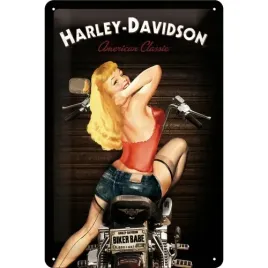 tablica-szyld-harley-davidson-biker-babe-metalowy