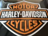 tablica-plakat-harley-davidson-parking-only-30x40-tematyka-motoryzacja
