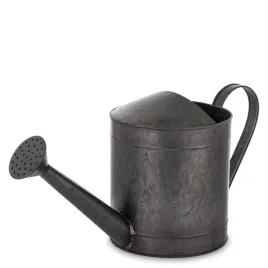 konewka-dzban-dekoracyjna-metalowa-srebrna-22x42x175-164799