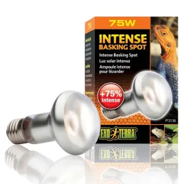 exo-terra-intense-basking-spot-75w-63mm-zarowka-grzewcza-do-terrarium