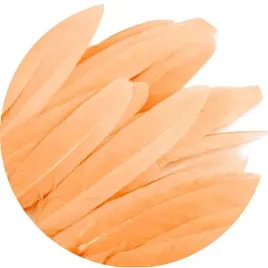 piorka-dekoracyjne-gesie-lososiowy-stoklasa-9-14-cm-20-szt
