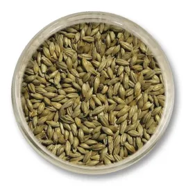 slod-pale-ale-viking-malt-5-5-7-5-ebc-5kg