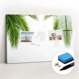szklana-tablica-magnetyczna-suchoscieralna-liscie-palma-natura-60x40-cm