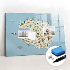 tablica-magnetyczna-szklana-do-domu-elegancka-polska-mapa-zwierzat-60x40-cm