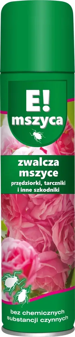 Grafika w opisie produktu
