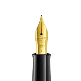 pelikan-stalowka-f-do-piora-wiecznego-m200