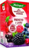 herbapol-herbata-prosto-z-lasu-20tb