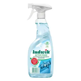 ludwik-active-foam-fresh-plyn-do-mycia-zatluszczonych-powierzchni-600ml